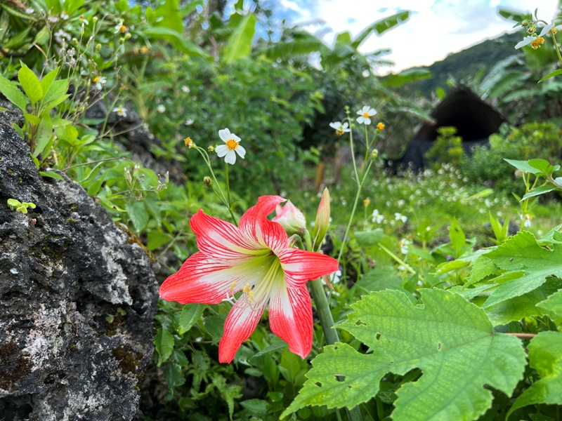 desertstyle63 豐濱-沙漠風情 內外皆美 如藝術品在石梯坪的存在