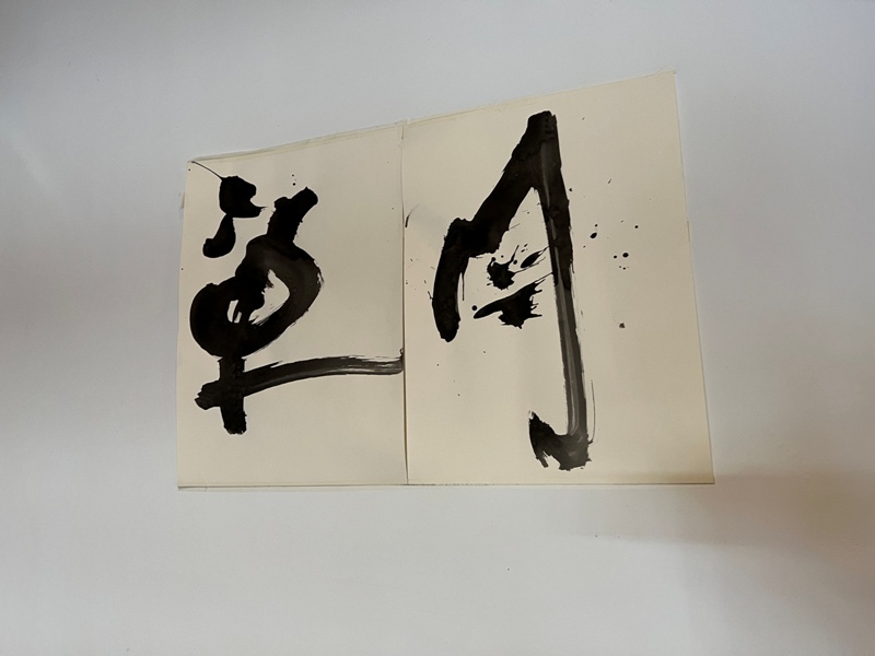 mesecoffee06 台東-草月咖啡館 一杯冰咖啡躲豔陽 店貓太可愛