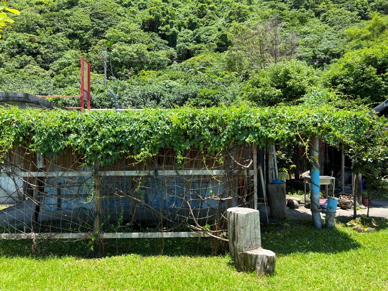 wavecafe05 豐濱-海浪咖啡賞無敵海景 順遊麻糬洞(March洞)