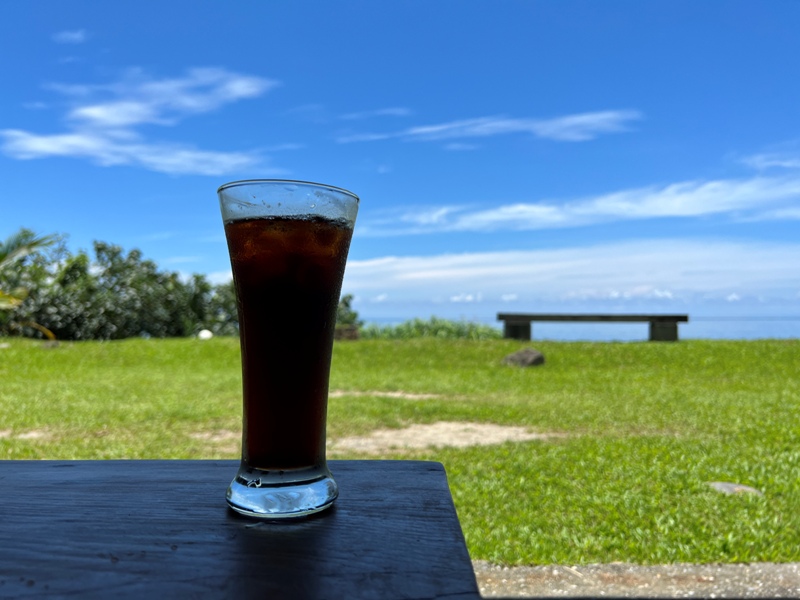 wavecafe11 豐濱-海浪咖啡賞無敵海景 順遊麻糬洞(March洞)