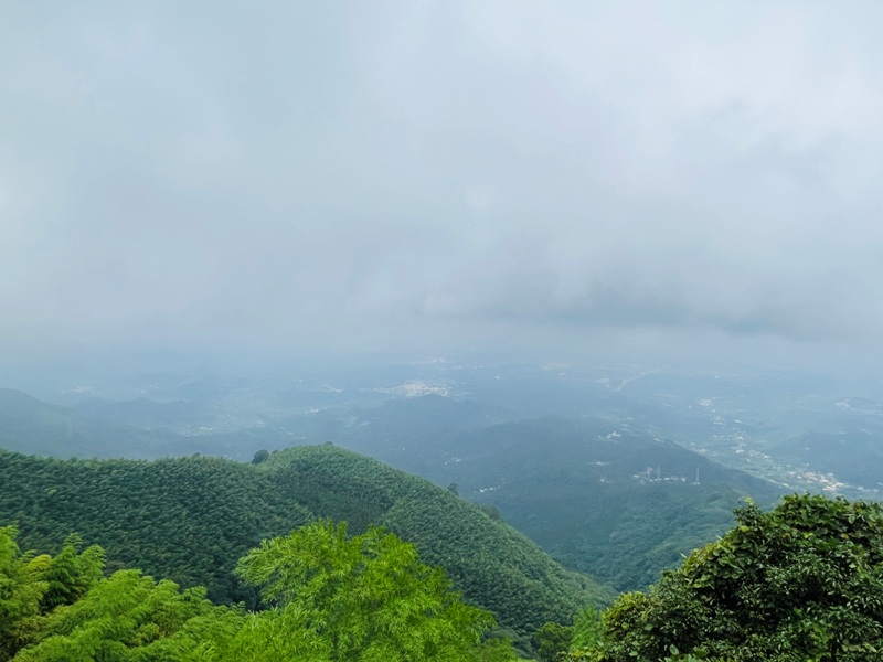 dajianjian2104 古坑-雲嘉大尖山/二尖山步道 輕鬆享茶園與山林景觀