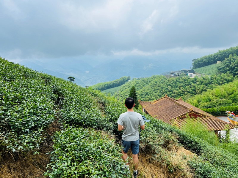 dajianjian2107 古坑-雲嘉大尖山/二尖山步道 輕鬆享茶園與山林景觀
