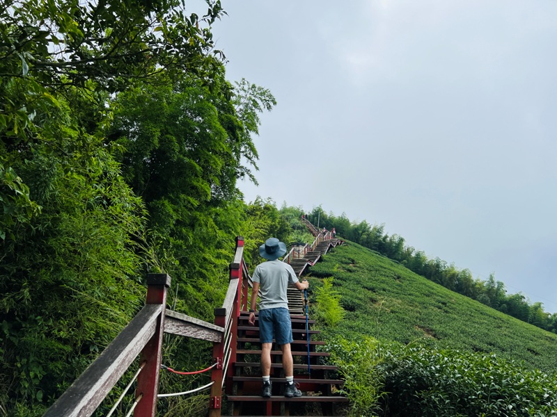 dajianjian2110 古坑-雲嘉大尖山/二尖山步道 輕鬆享茶園與山林景觀