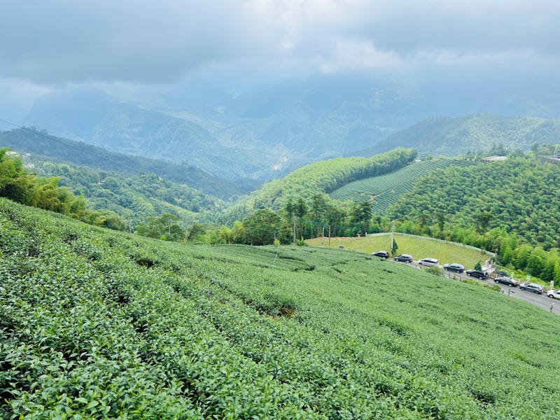 dajianjian2111 古坑-雲嘉大尖山/二尖山步道 輕鬆享茶園與山林景觀