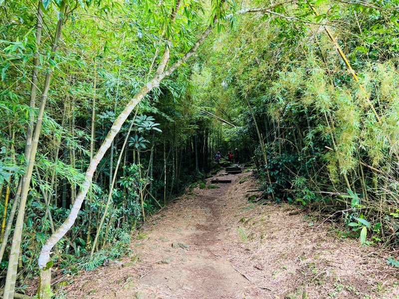 dajianjian2113 古坑-雲嘉大尖山/二尖山步道 輕鬆享茶園與山林景觀