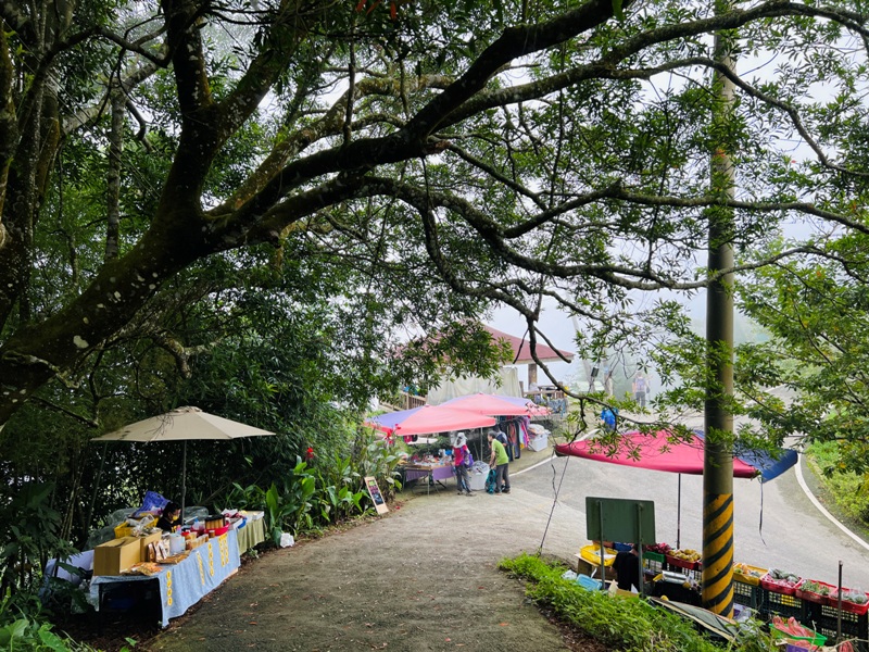dajianjian2118 古坑-雲嘉大尖山/二尖山步道 輕鬆享茶園與山林景觀