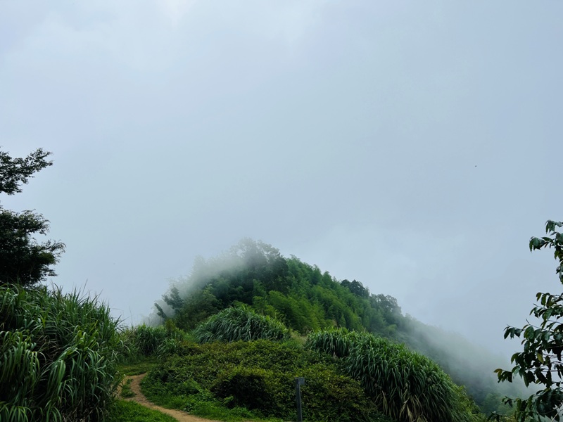 dajianjian2122 古坑-雲嘉大尖山/二尖山步道 輕鬆享茶園與山林景觀