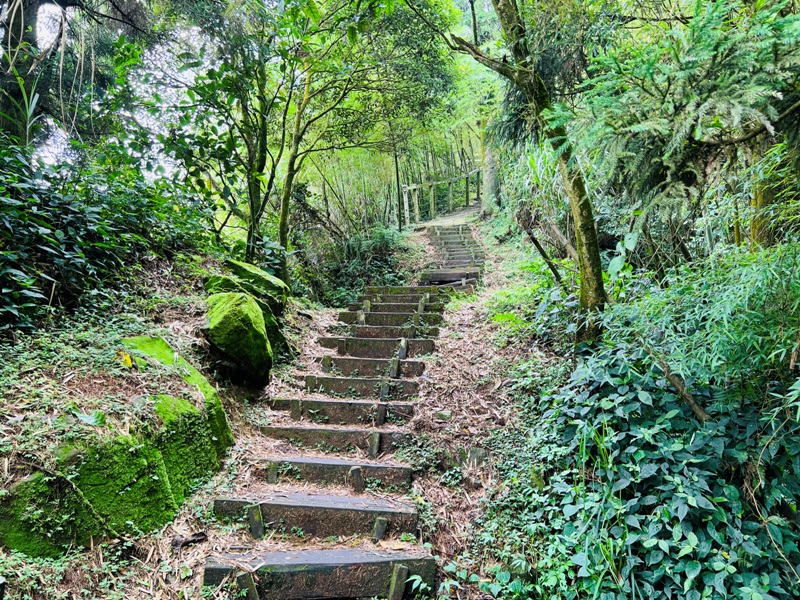 dajianjian2123 古坑-雲嘉大尖山/二尖山步道 輕鬆享茶園與山林景觀