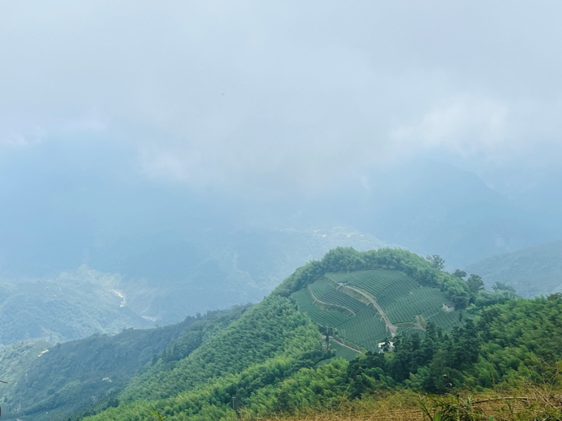 dajianjian2131 古坑-雲嘉大尖山/二尖山步道 輕鬆享茶園與山林景觀