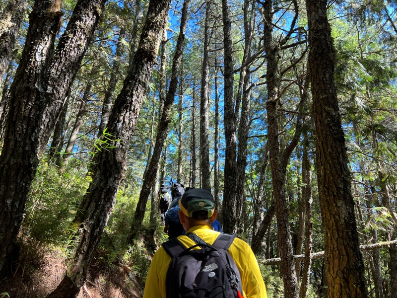 mountguntai32010103 信義-郡大山 坐車比爬山累...豔陽天出大景
