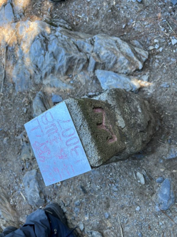 mountguntai32010105-rotated 信義-郡大山 坐車比爬山累...豔陽天出大景