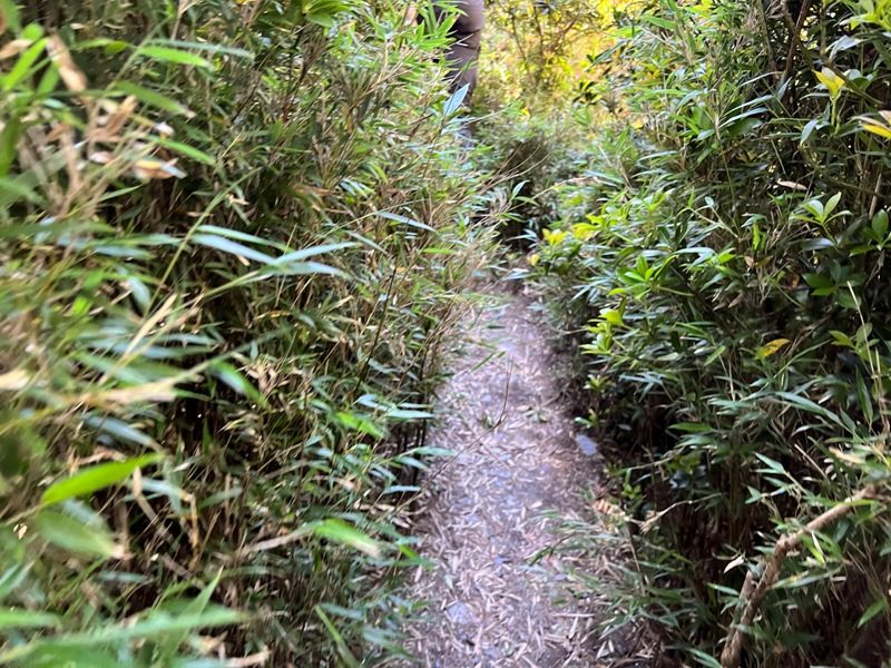 mountguntai32010107-rotated 信義-郡大山 坐車比爬山累...豔陽天出大景