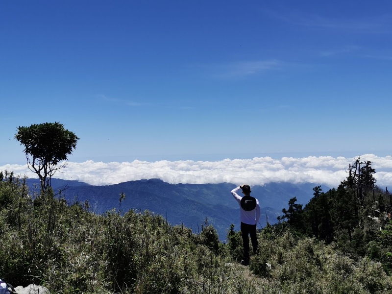 mountguntai32010128 信義-郡大山 坐車比爬山累...豔陽天出大景