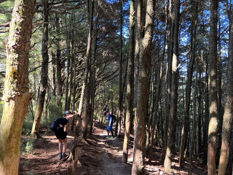 mountguntai32010135 信義-郡大山 坐車比爬山累...豔陽天出大景