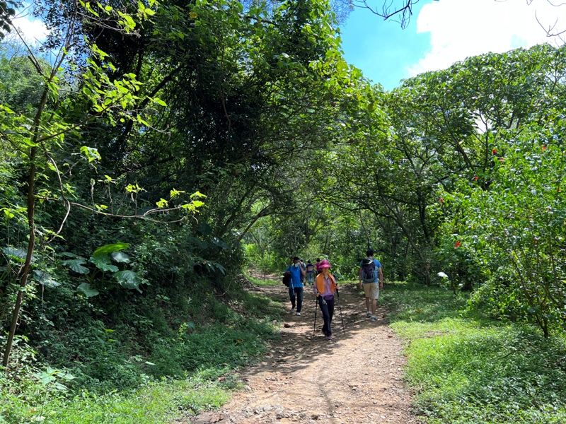 sandingg07 太平-三汀山/咬人狗坑步道 視野遼闊看盡台中城市景觀