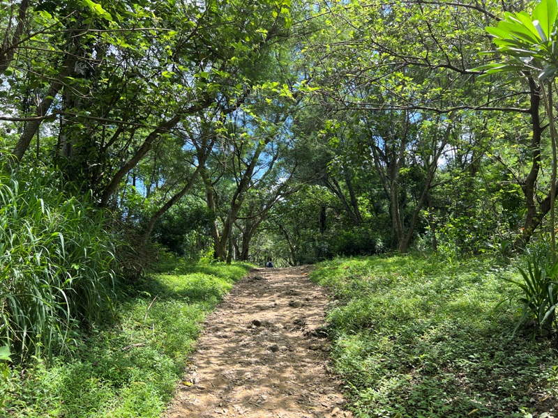 sandingg08 太平-三汀山/咬人狗坑步道 視野遼闊看盡台中城市景觀