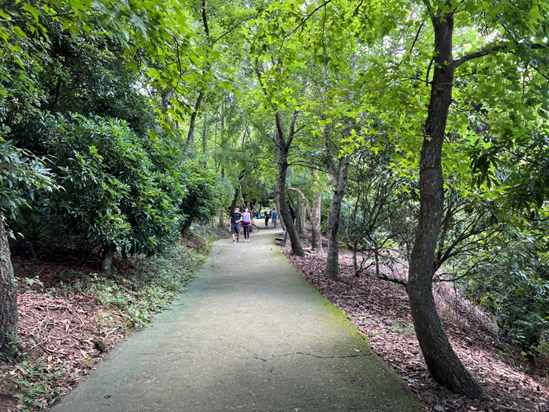sandingg11 太平-三汀山/咬人狗坑步道 視野遼闊看盡台中城市景觀