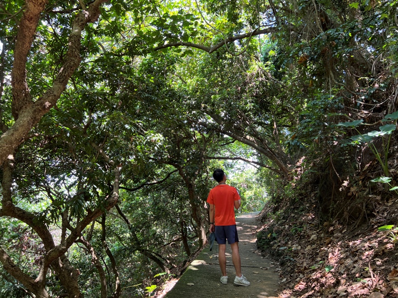 sandingg13 太平-三汀山/咬人狗坑步道 視野遼闊看盡台中城市景觀