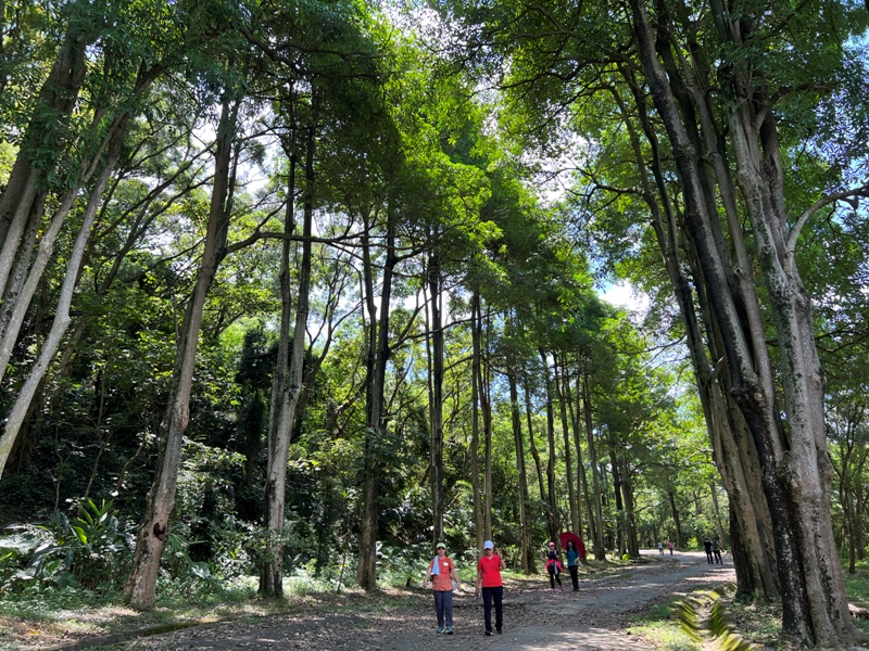 sandingg17 太平-三汀山/咬人狗坑步道 視野遼闊看盡台中城市景觀