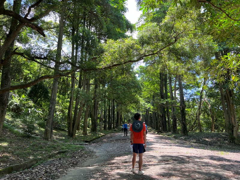 sandingg18 太平-三汀山/咬人狗坑步道 視野遼闊看盡台中城市景觀