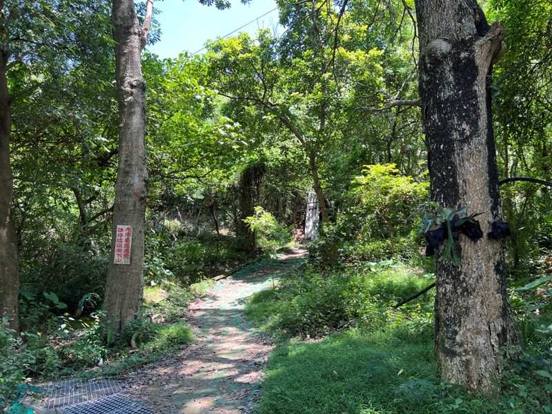 sandingg19 太平-三汀山/咬人狗坑步道 視野遼闊看盡台中城市景觀