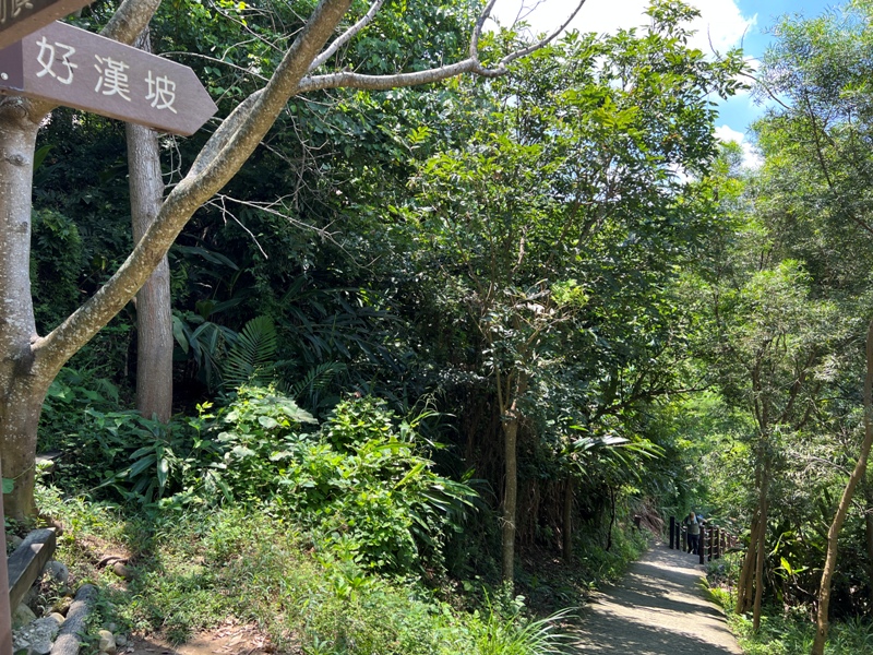 sandingg22 太平-三汀山/咬人狗坑步道 視野遼闊看盡台中城市景觀