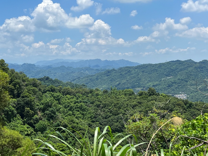 sandingg35 太平-三汀山/咬人狗坑步道 視野遼闊看盡台中城市景觀