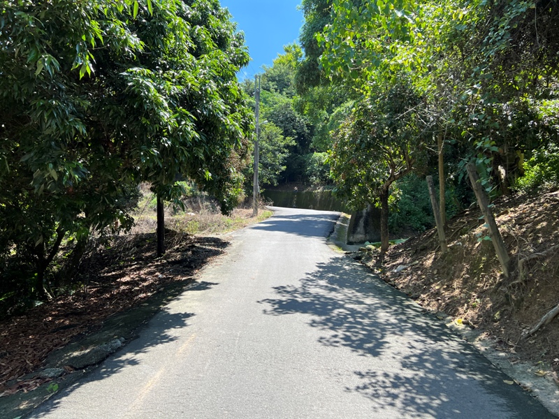 achaou04 霧峰-阿罩霧山 全程產業道路 沿路好景觀