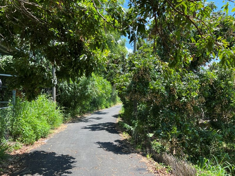 achaou08-rotated 霧峰-阿罩霧山 全程產業道路 沿路好景觀