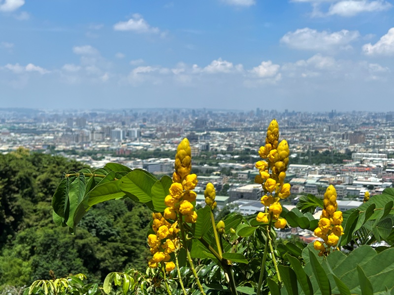 achaou13 霧峰-阿罩霧山 全程產業道路 沿路好景觀
