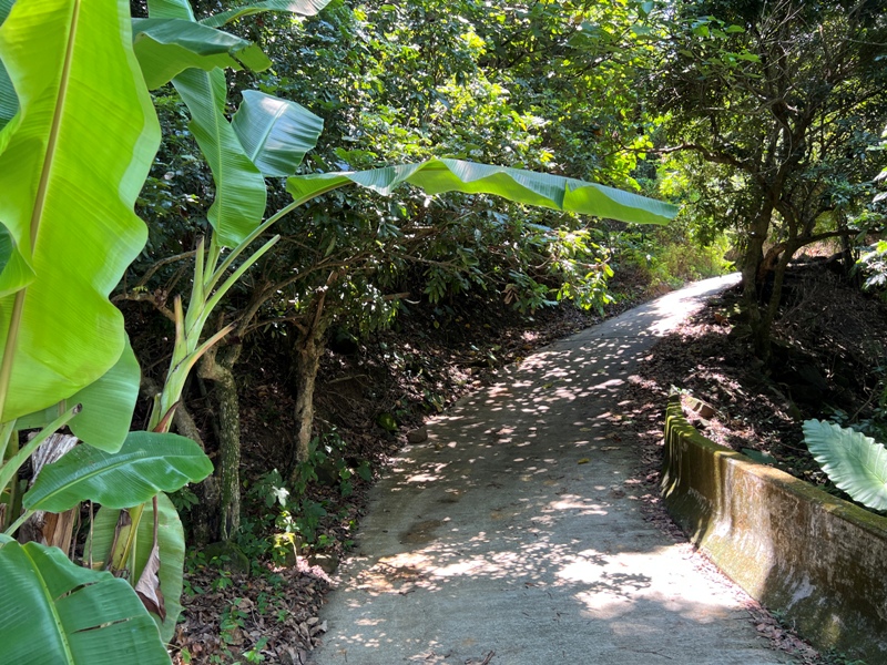 achaou17 霧峰-阿罩霧山 全程產業道路 沿路好景觀