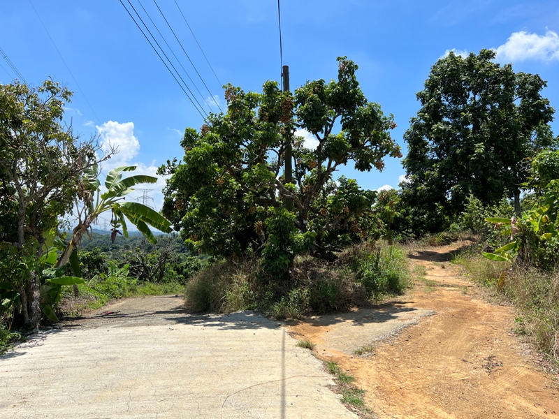 achaou18 霧峰-阿罩霧山 全程產業道路 沿路好景觀