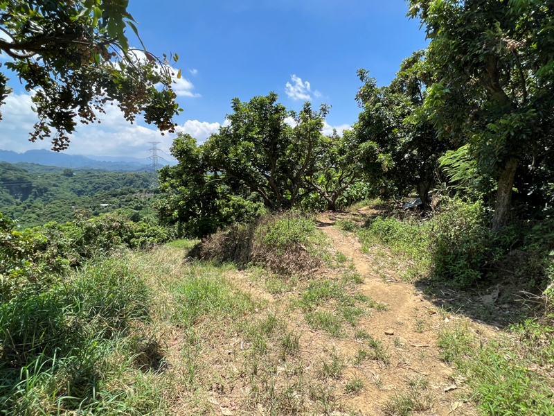 achaou20 霧峰-阿罩霧山 全程產業道路 沿路好景觀