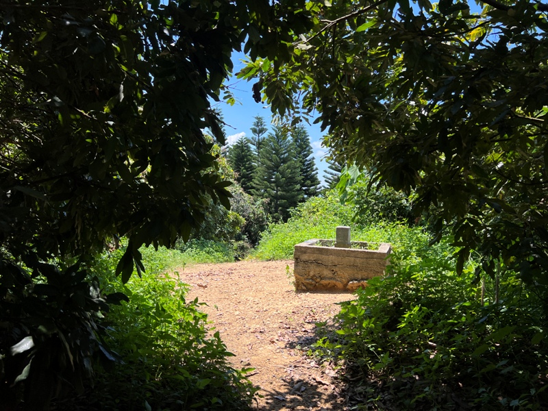 achaou24 霧峰-阿罩霧山 全程產業道路 沿路好景觀