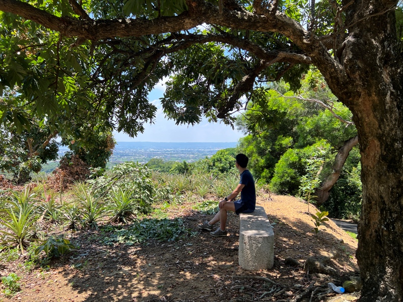 achaou29 霧峰-阿罩霧山 全程產業道路 沿路好景觀