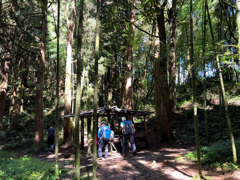 jingansu14 南投信義-嶺頭山金柑樹山 順訪忘憂森林迷霧景緻