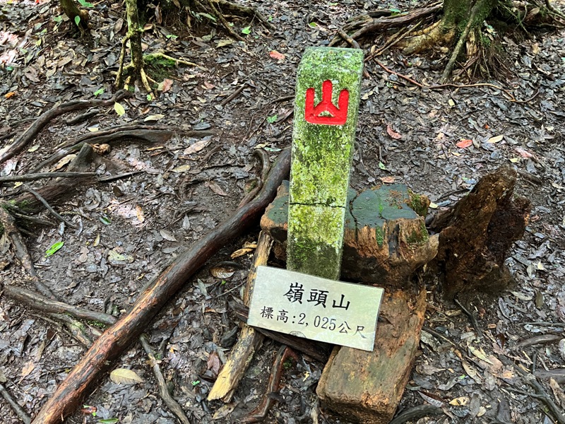 jingansu15 南投信義-嶺頭山金柑樹山 順訪忘憂森林迷霧景緻