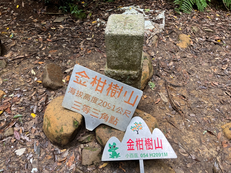 jingansu25 南投信義-嶺頭山金柑樹山 順訪忘憂森林迷霧景緻