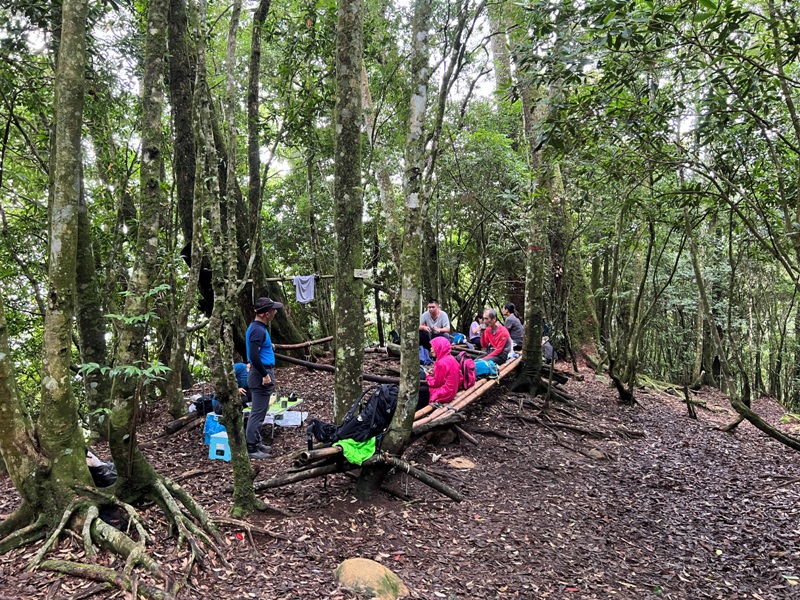 jingansu26 南投信義-嶺頭山金柑樹山 順訪忘憂森林迷霧景緻