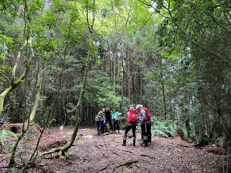 jingansu27 南投信義-嶺頭山金柑樹山 順訪忘憂森林迷霧景緻