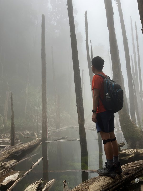 jingansu40-rotated 南投信義-嶺頭山金柑樹山 順訪忘憂森林迷霧景緻