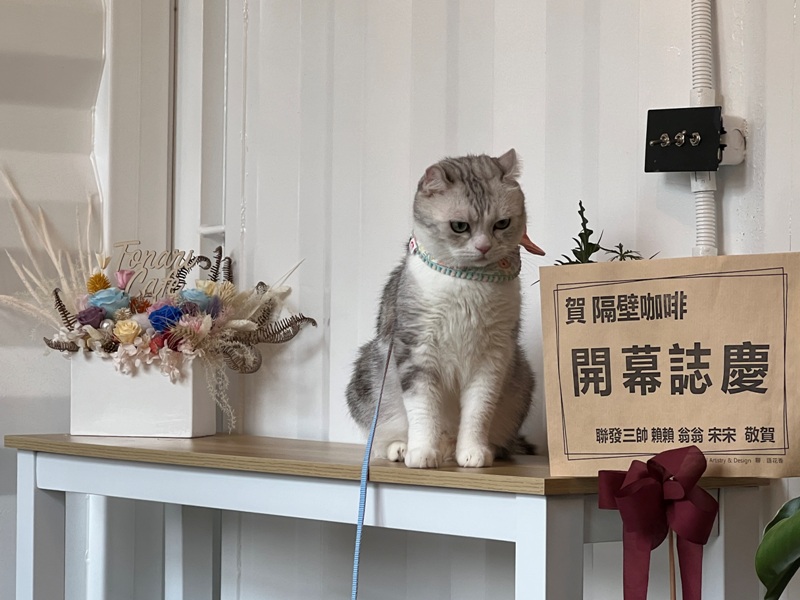 tonari18 竹北-隔壁咖啡 住宅區貨櫃好特別 自帶庭院好休閒