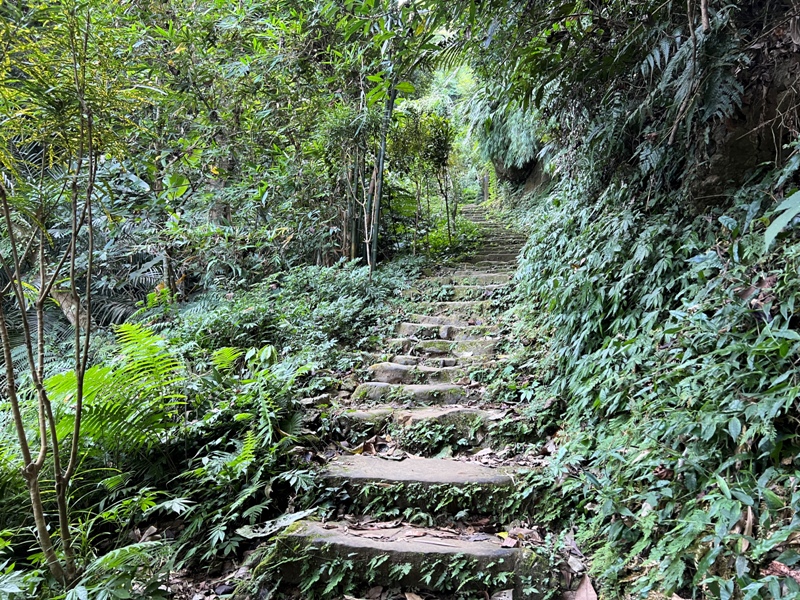 yuanmtt04 三峽-鳶山彩壁 福德坑山 鳶山 爬郊山拍美照