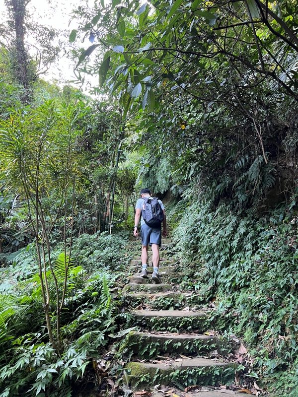 yuanmtt05-rotated 三峽-鳶山彩壁 福德坑山 鳶山 爬郊山拍美照