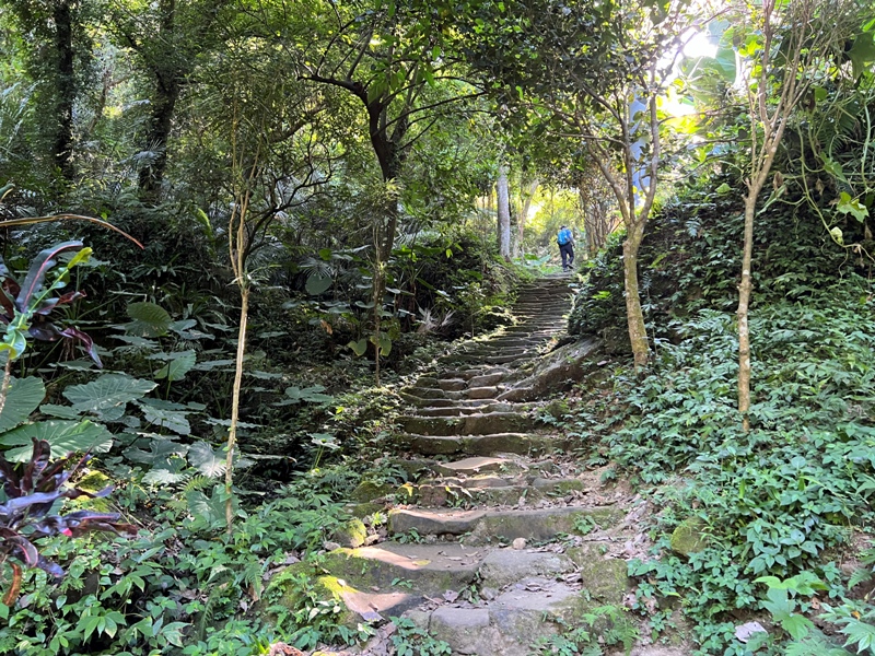 yuanmtt07 三峽-鳶山彩壁 福德坑山 鳶山 爬郊山拍美照