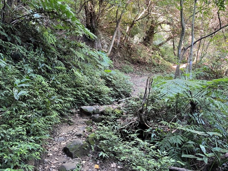 yuanmtt08 三峽-鳶山彩壁 福德坑山 鳶山 爬郊山拍美照