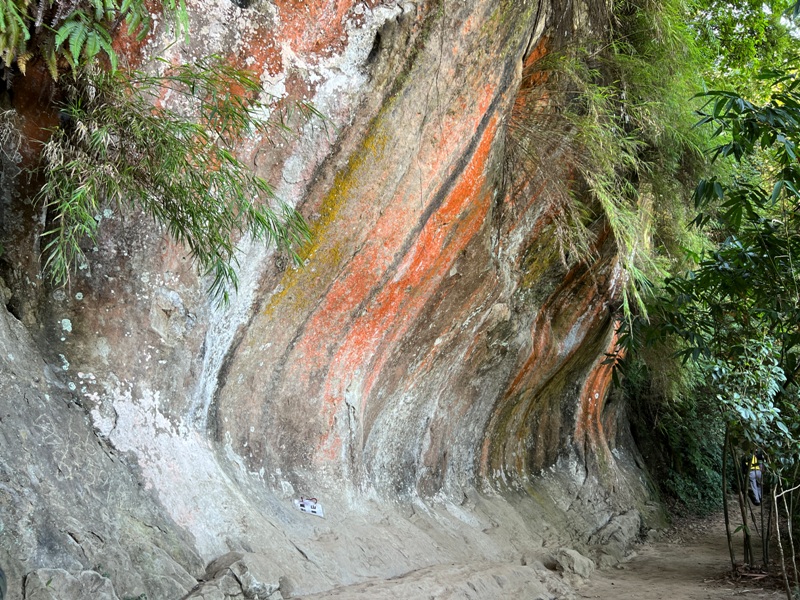 yuanmtt13 三峽-鳶山彩壁 福德坑山 鳶山 爬郊山拍美照
