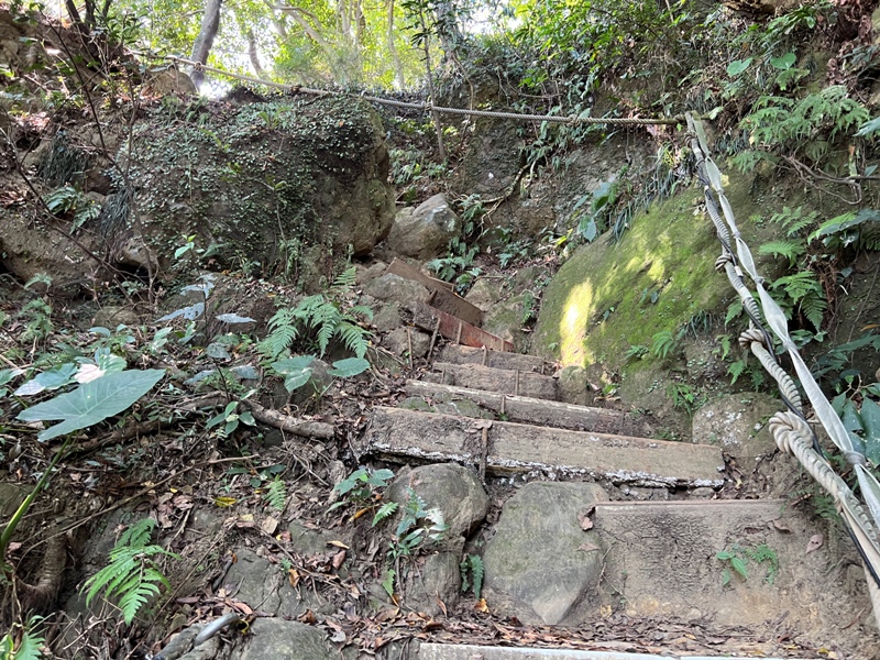 yuanmtt25 三峽-鳶山彩壁 福德坑山 鳶山 爬郊山拍美照