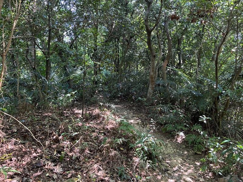 yuanmtt28 三峽-鳶山彩壁 福德坑山 鳶山 爬郊山拍美照