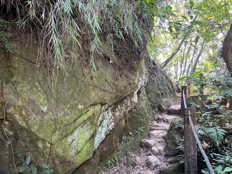 yuanmtt29 三峽-鳶山彩壁 福德坑山 鳶山 爬郊山拍美照